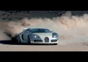 Bugatti Veyron Pur Sang